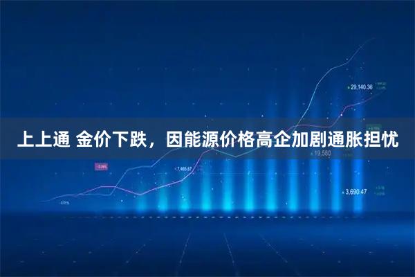 上上通 金价下跌，因能源价格高企加剧通胀担忧