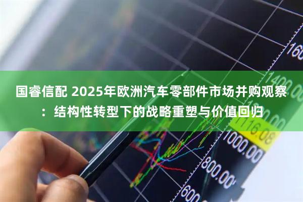 国睿信配 2025年欧洲汽车零部件市场并购观察：结构性转型下的战略重塑与价值回归