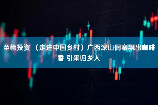 至德投资 （走进中国乡村）广西深山侗寨飘出咖啡香 引来归乡人