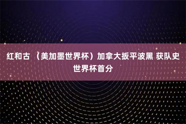 红和古 （美加墨世界杯）加拿大扳平波黑 获队史世界杯首分